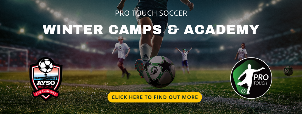 Pro Touch Camps and Academy